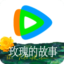 小希的希的部首